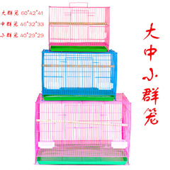 Group cages, large, medium and small group bird cages, rabbit cages, pigeon cages, multi-model portable wire pet parrot cages, guinea pig folding cages