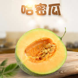 山东哈密瓜 代发3/5斤新鲜应季头茬西州蜜甜瓜非黄河蜜当季水果