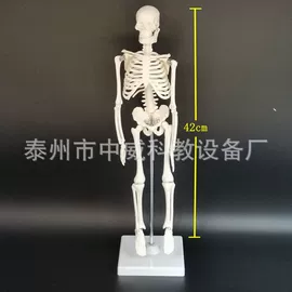教学仪器;数理教学器材;实验室仪器