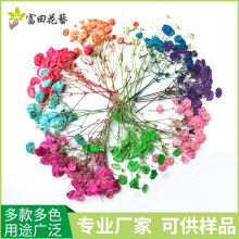 ��ȻѺ������ �M���Ƕ��^�ٽz���˱�ֲ�﹤ˇƷѺ���滨��Ȼ�L��