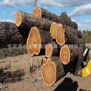 ���l�Ͱ�ľԭľ������ľ�t�İ�ľ�Ҿ߲ĵ�̲Ĺ�ˇƷ�Ĵ����