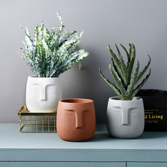 Nordic style cement flower pot ceramic human face fashionable minimalist literary personalized indoor large pothos pot landscape Amazon