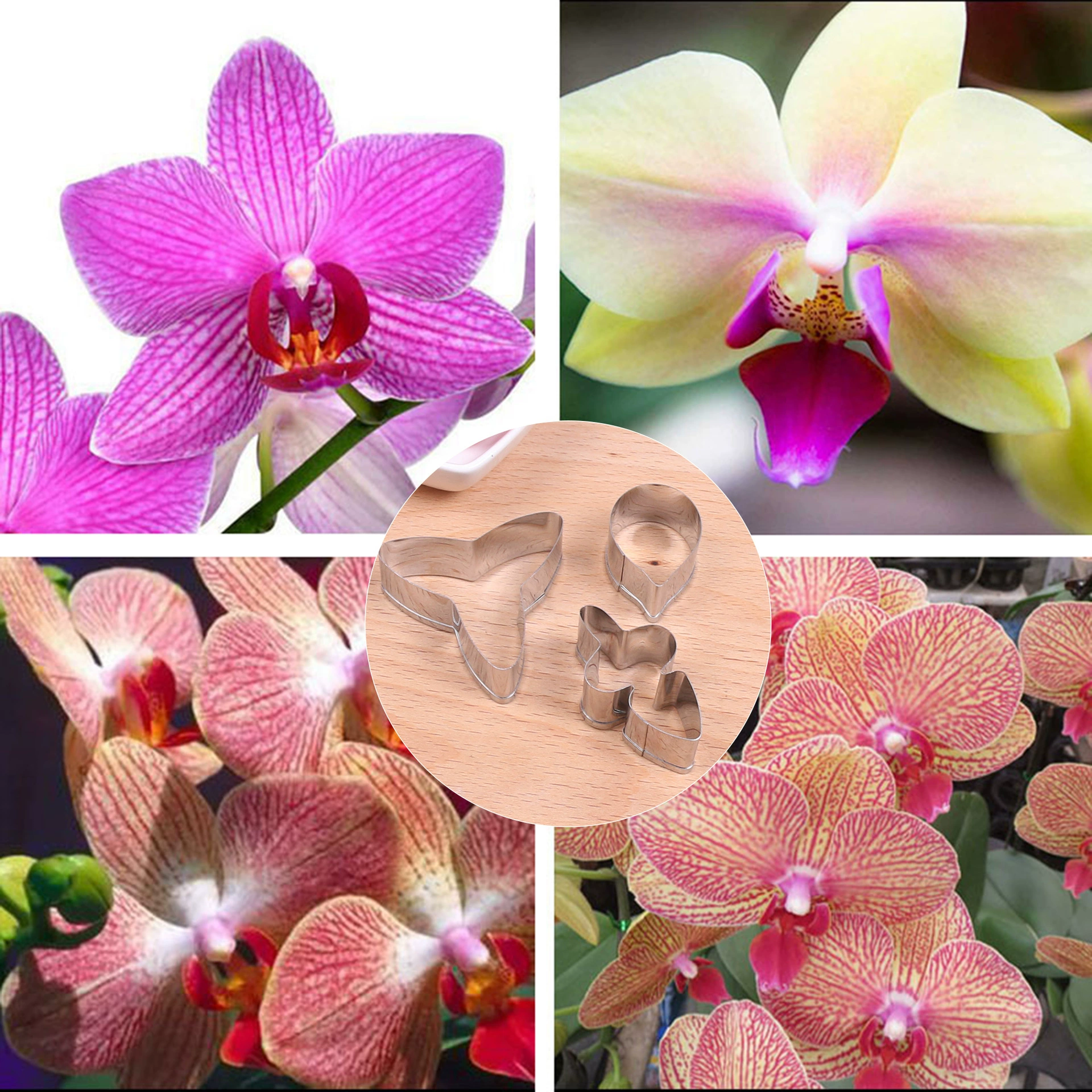 Форма для сахарных цветов фаленопсис из нержавеющей стали 3 шт. Костюм помадка инструмент для торта Мягкая Керамика форма для резки глины