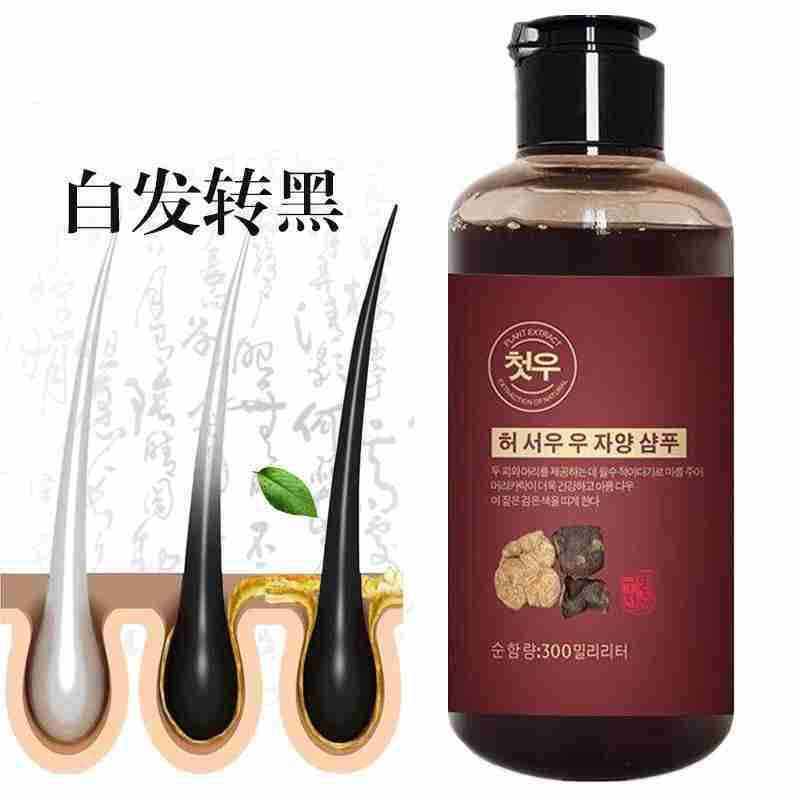 Nanmei Polygonum multiflorum shampoo black brightening hair anti-dandruff anti-itching moisturizing non-silicone oil Polygonum multiflorum shampoo