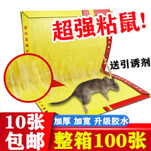 家鑫超强力粘鼠板726自带引诱剂粘鼠贴老鼠贴整箱100张包邮