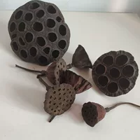 Натуральный сушеный дом лотоса Лотос Ракушка лотоса Старый Лотос с семенами Маленькая голова лотоса Декоративная дзен Лотос Сухой цветок оптом
