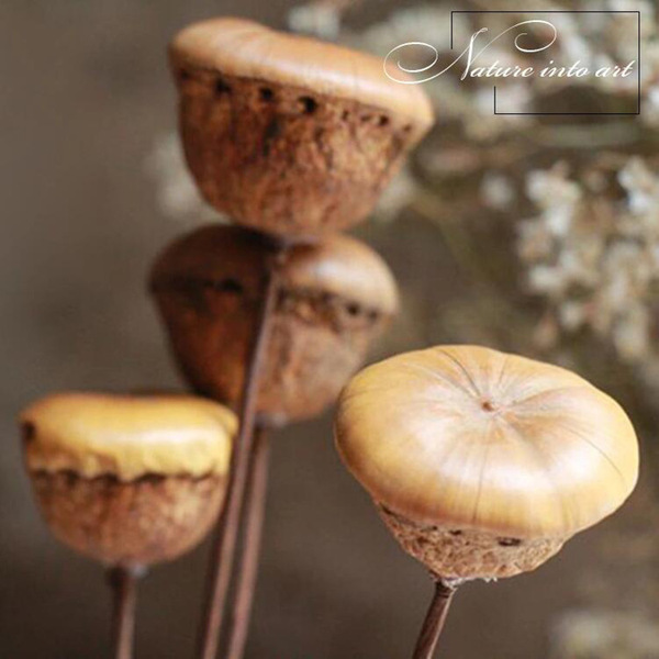 [Jade Mushroom] Natural dried flower flower arrangement shape