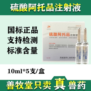 �Fș����Ʒע��Һ����ЙC����iţ���rș�ж�10ml*5֧�b����Ȯș