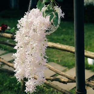 ���滨3��ʮ�֙ѻ����㻨��Y�õ���b��l�ҾӼٽ������컨֦