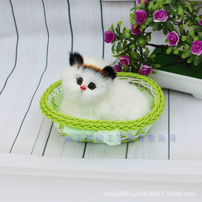 Photography props, toy, cat, Birthday gift