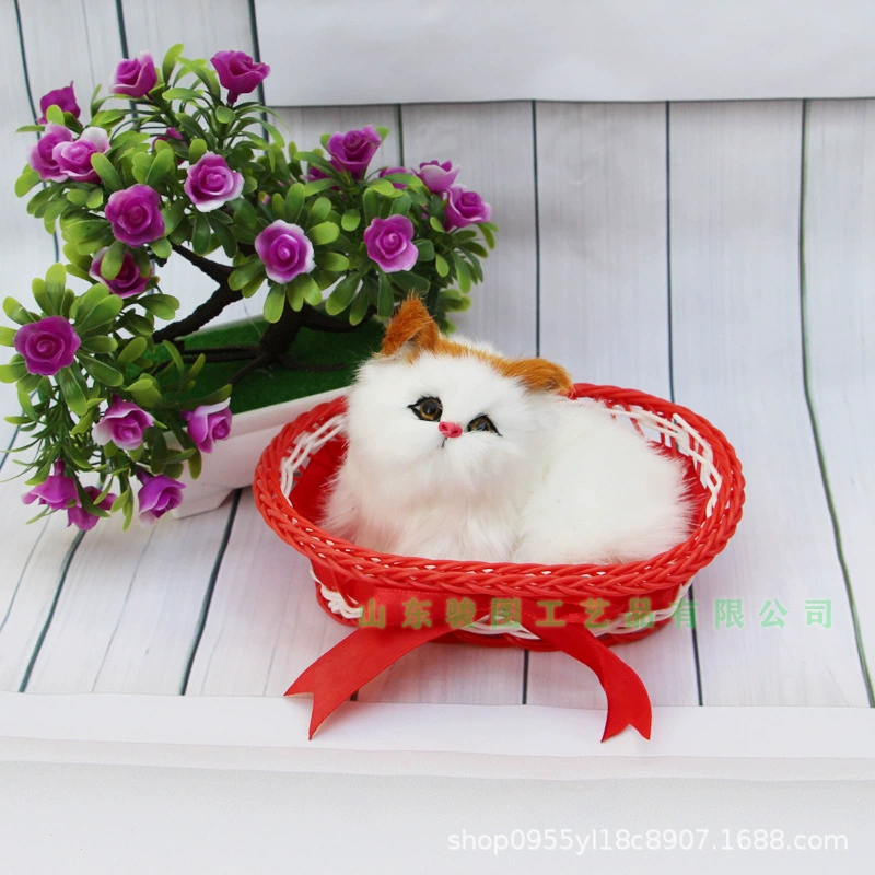 Photography props, toy, cat, Birthday gift