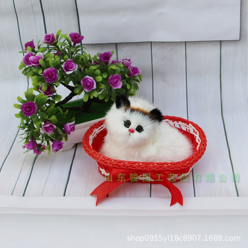 Photography props, toy, cat, Birthday gift
