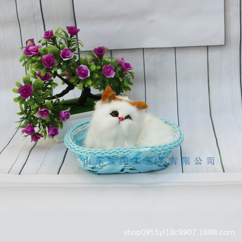 Photography props, toy, cat, Birthday gift