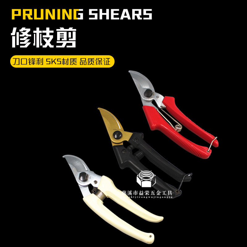 新款批发sk5材质修枝剪 园林工具 果树园林剪刀艺剪 花园树枝剪刀