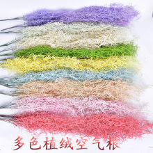 �S��ֱ�N��c���� ���������� �՚�����Ϸ��滨�ڒ촹�������