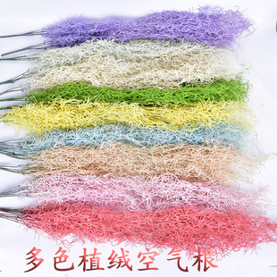 �S��ֱ�N��c���� ���������� �՚�����Ϸ��滨�ڒ촹�������