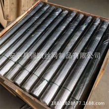 �S��ֱ�N 14̖2.2mm 12̖2.8mm ��\�F�z ��\�F�� �{ֱ�ؔ�z