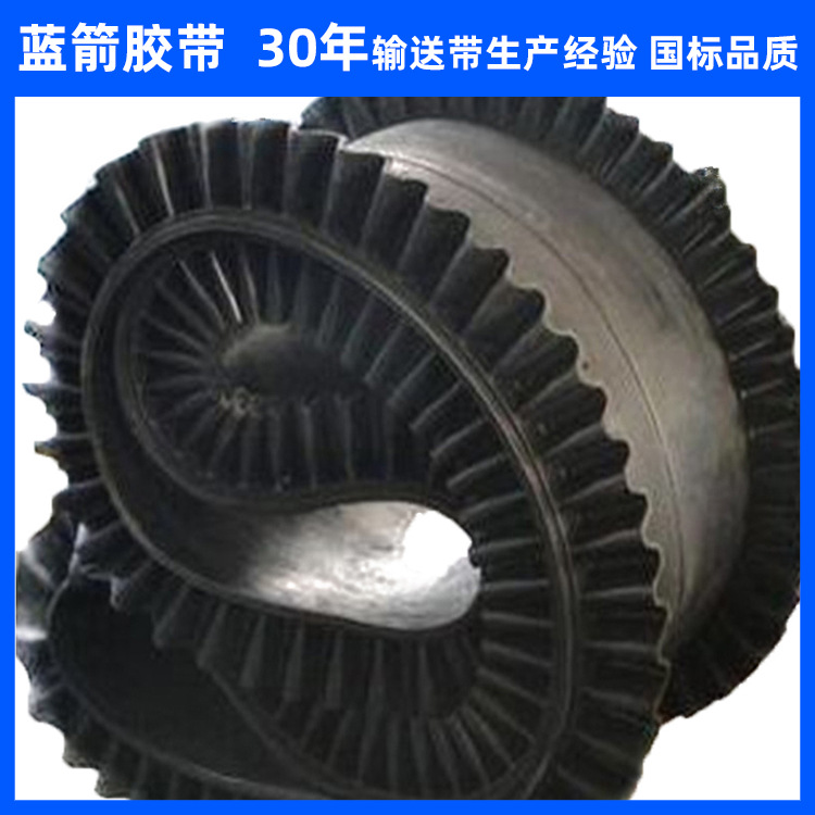 河北蓝箭环形挡边输送带厂家供应尼龙橡胶传送带 工业运输带