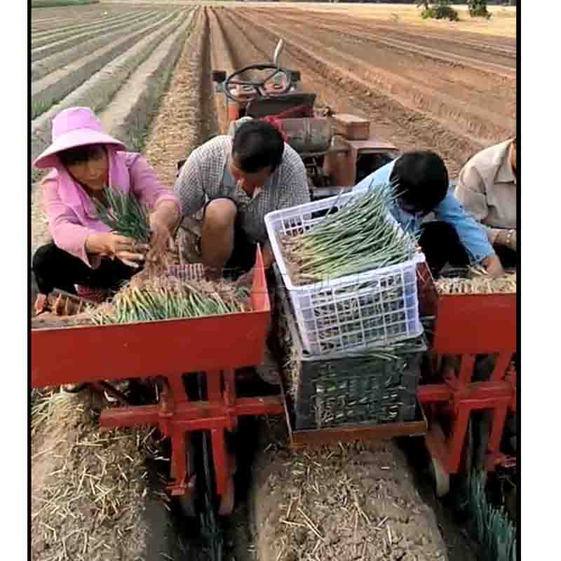 后置式嫩葱鲜葱种植机 双行三行辣椒茄子秧苗栽种机 供应栽葱机