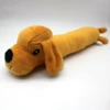 Yellow lying dog