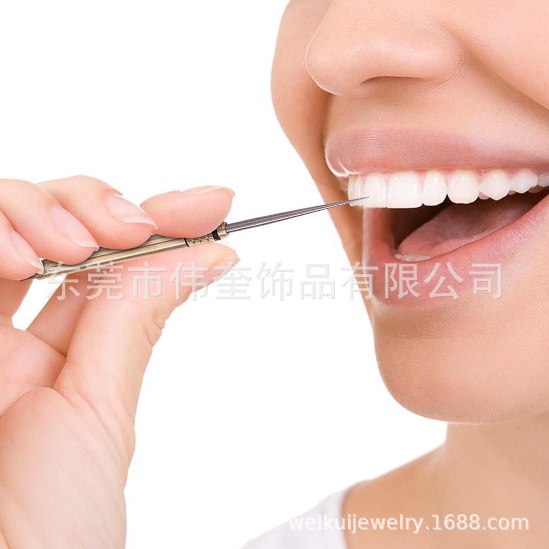 Directo de fábrica de latón integrado palillo de dientes creativo portátil Selección de fruta de acero inoxidable palillo de dientes de aleación de titanio multifuncional