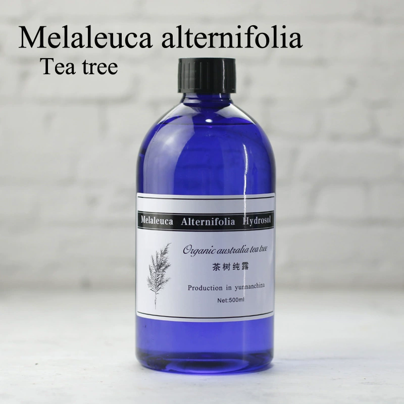 Чайное дерево Чистая роса хорошего качества