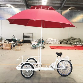 三轮车;电动三轮车;其他电动车