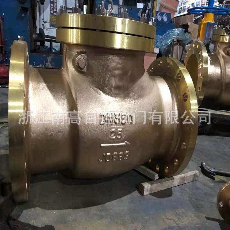 氧气旋启式止回阀 HY44W-25P 不锈钢法兰止回阀  DN500