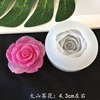 Accessory, epoxy resin, mold handmade, flowered, mirror effect