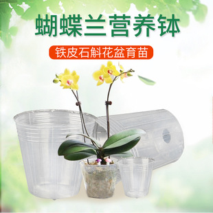 �����m�I�B���m��ʯ�����N������͸�����籭��ɫ�I�B�����������