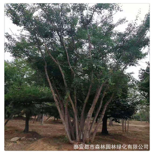 ���۾�Ʒ����Ԫ���� ����Ԫ�����r�� ���̓��� ���̾G�� Ҏ���Rȫ