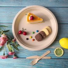 一次性盘子批发纸盘甘蔗渣做的盘子可降解餐具6寸7寸9寸10寸野餐