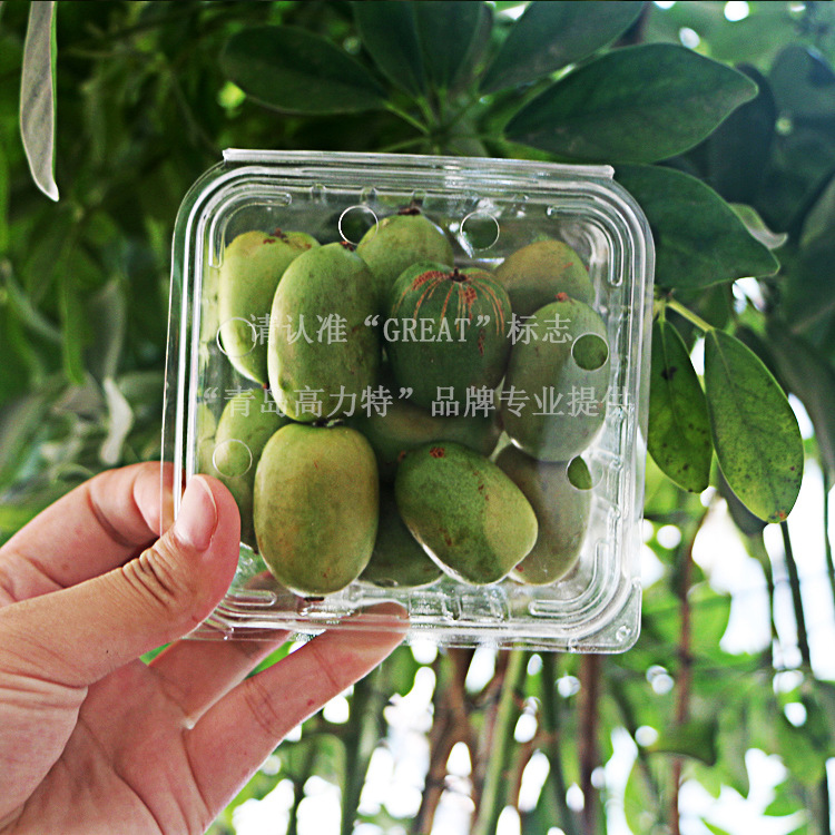 125克软枣猕猴桃盒生鲜水果包装盒一次性果蔬包装盒批发厂家批发