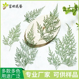 植物工艺品;工艺原料;干花