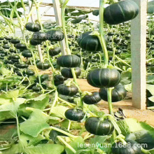 �ձ��M��ؐؐ�ϹϷN�ӾGؐؐ����С�ϹϷN�Ӹ߮a�����߲��ļ�����