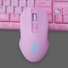 Fuchsia mouse charging
