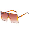 Trend glasses, fashionable multicoloured sunglasses, European style, plus size