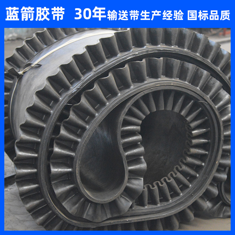 河北蓝箭供应裙边输送带尼龙聚酯EE帆布输送带波形挡边输送带