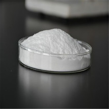 ����ľ�|�w�S��ľ�|���w�Sֲ���w�S�طۼ��w�S�۸��N�ߴ��w�S