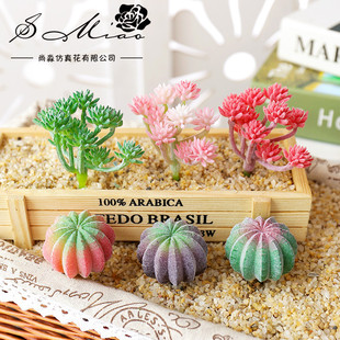 ���⻨�^ֲ�q��������DIY��Ʒֲ�����S��ֱ������Gֲ