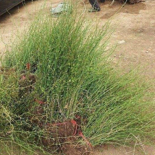 �@�־G����ľͥԺ�����ʾ�ֲ��������������ذ���Ļ����ͺ�����