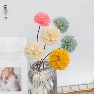 �����T�[�� �ɻ������ֹ���ˇ�Ҿ��b��S������Ȼֲ��С�������l