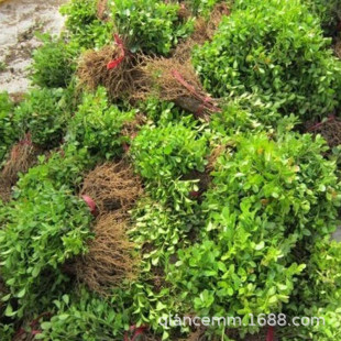 �������̾G��С�~�����S��ȸ���S�����ļ����ͺ��h���� ���󃞻�