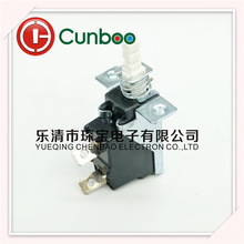 ioiֱI_P⏗ɹݿ׃_б_Դ_P10A250V