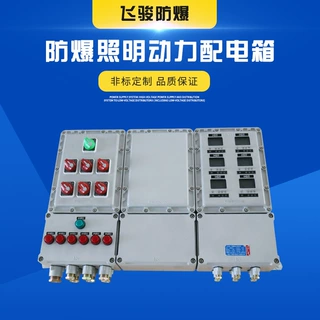 定做BXM防爆照明配电箱粮油厂库加工车间储粮仓库照明开关控制
