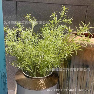 ��Ʒ�Ե�����������ֲ���ļҾ��Ʒ���T�������[�����l
