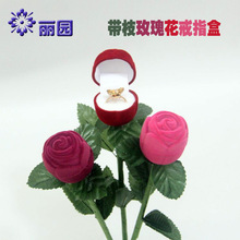 �S�ҹ����r��õ�廨�^�Ɏ�֦��ָ�ж�ᔽq��ֲ�q�ߙn�YƷ�����l