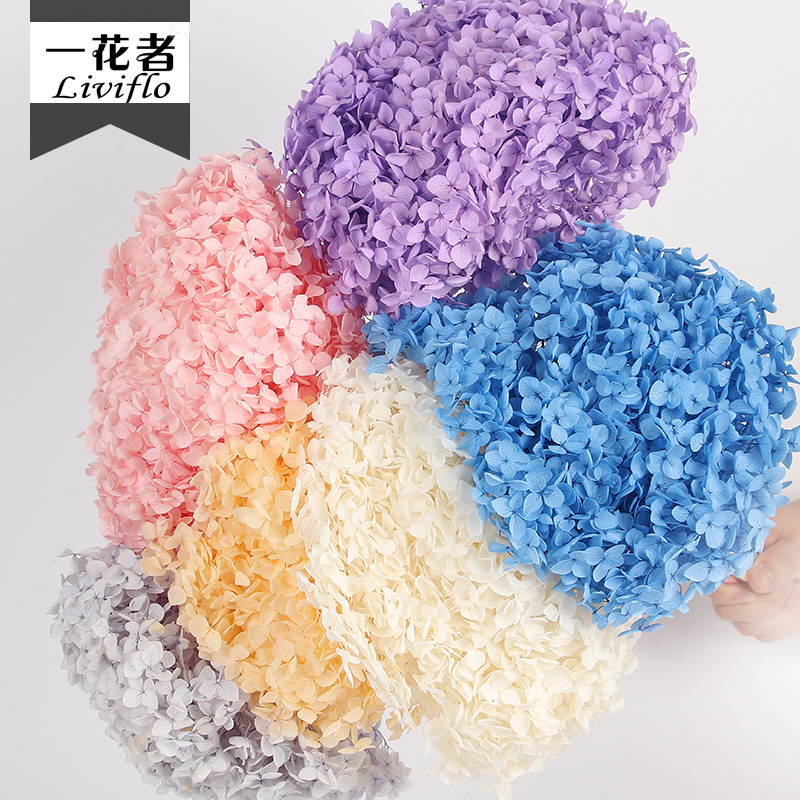 DIY Living Room Dining Table Decorative Ornaments Eternal Flower Material Single Stem Small Leaf Anna Hydrangea Eternal Floral Art