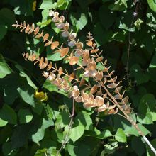 cȼ~ 5ȼɫɫX~Y·bٻ