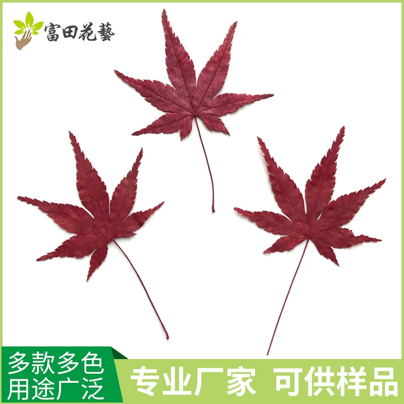 Заводская поставка Чистый ручной работы Кленовый лист Закладка Натуральный растительный образец DIY Тисненый мобильный телефон Shell Цветочный материал